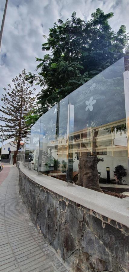 Apartamentos Casas Carmen - Adults Only ปลายา เดล อิงเกลส ภายนอก รูปภาพ