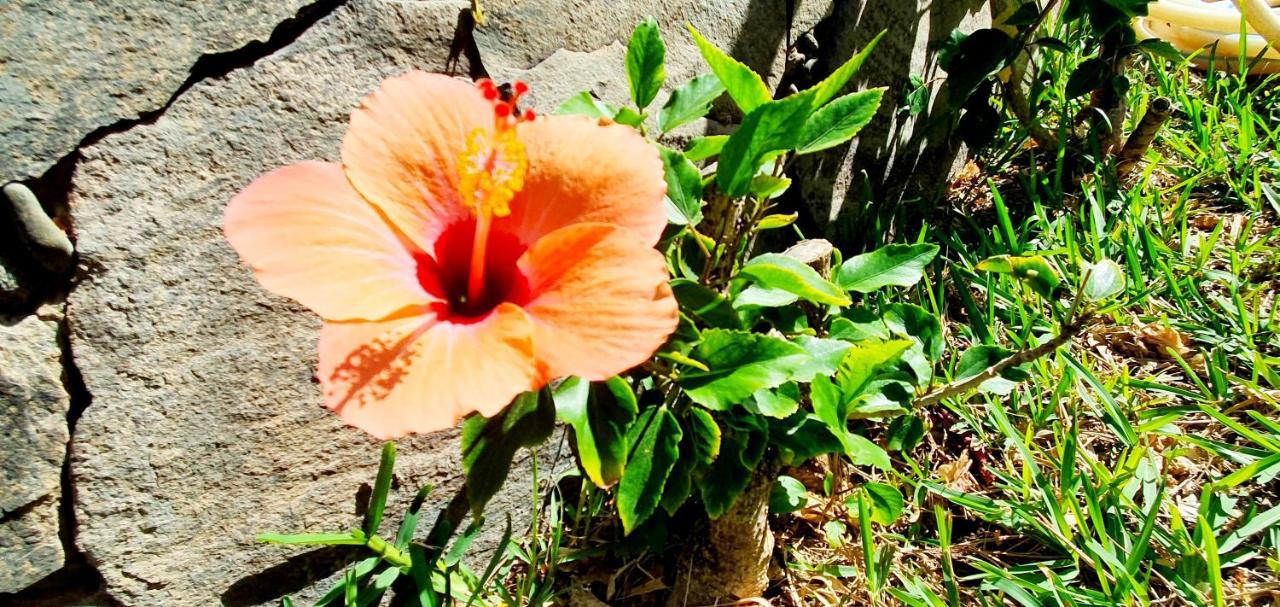 Apartamentos Casas Carmen - Adults Only ปลายา เดล อิงเกลส ภายนอก รูปภาพ