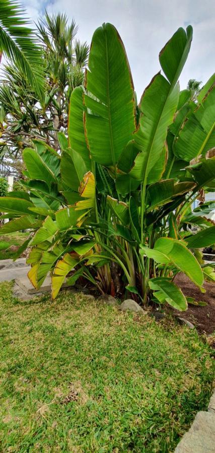 Apartamentos Casas Carmen - Adults Only ปลายา เดล อิงเกลส ภายนอก รูปภาพ
